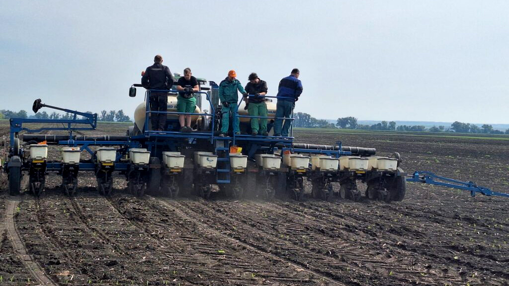 nase-polia-hostia-pokusne-hybridy-kws-featured