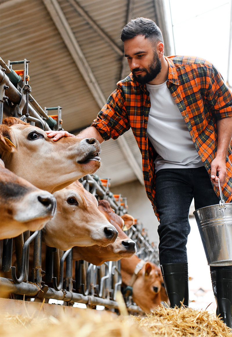 zivocisna-vyroba-starostlivost