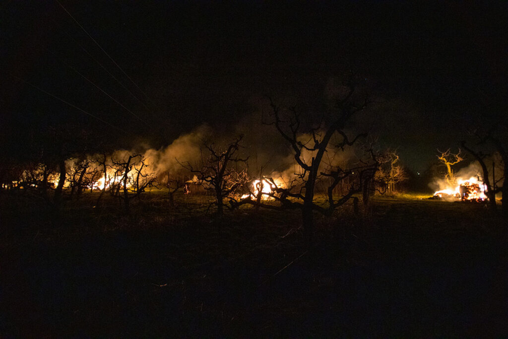 chranime nasu urodu pred mrazom 01