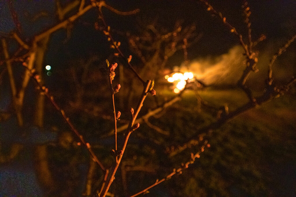 chranime nasu urodu pred mrazom 04