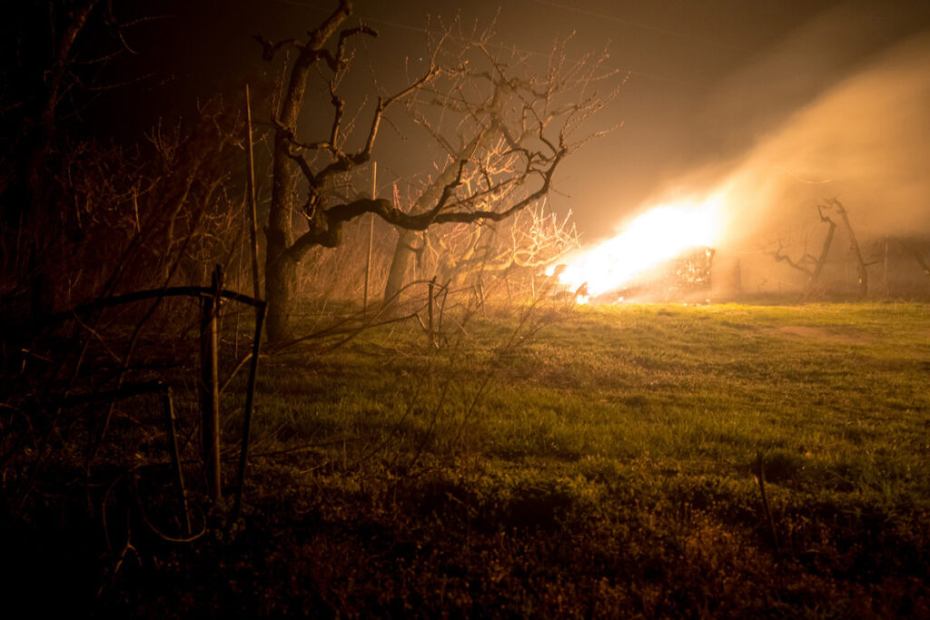 chranime nasu urodu pred mrazom 05