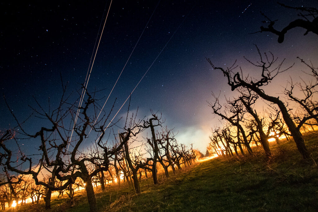 chranime nasu urodu pred mrazom 07