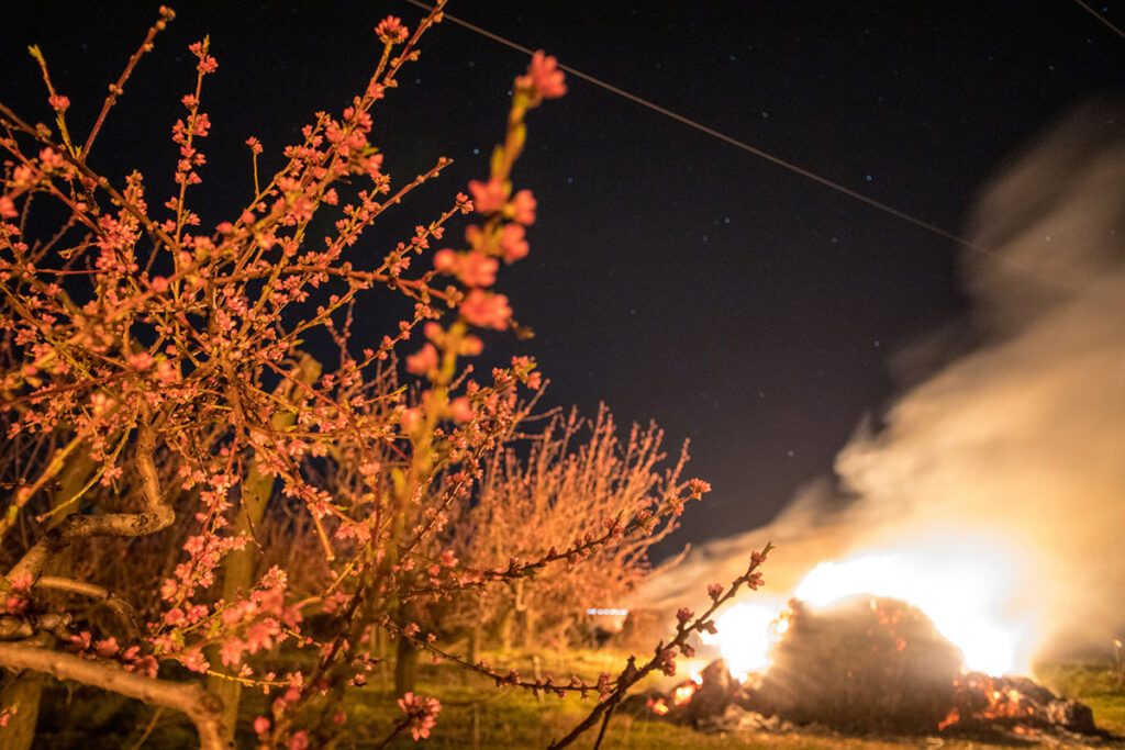 chranime nasu urodu pred mrazom 10