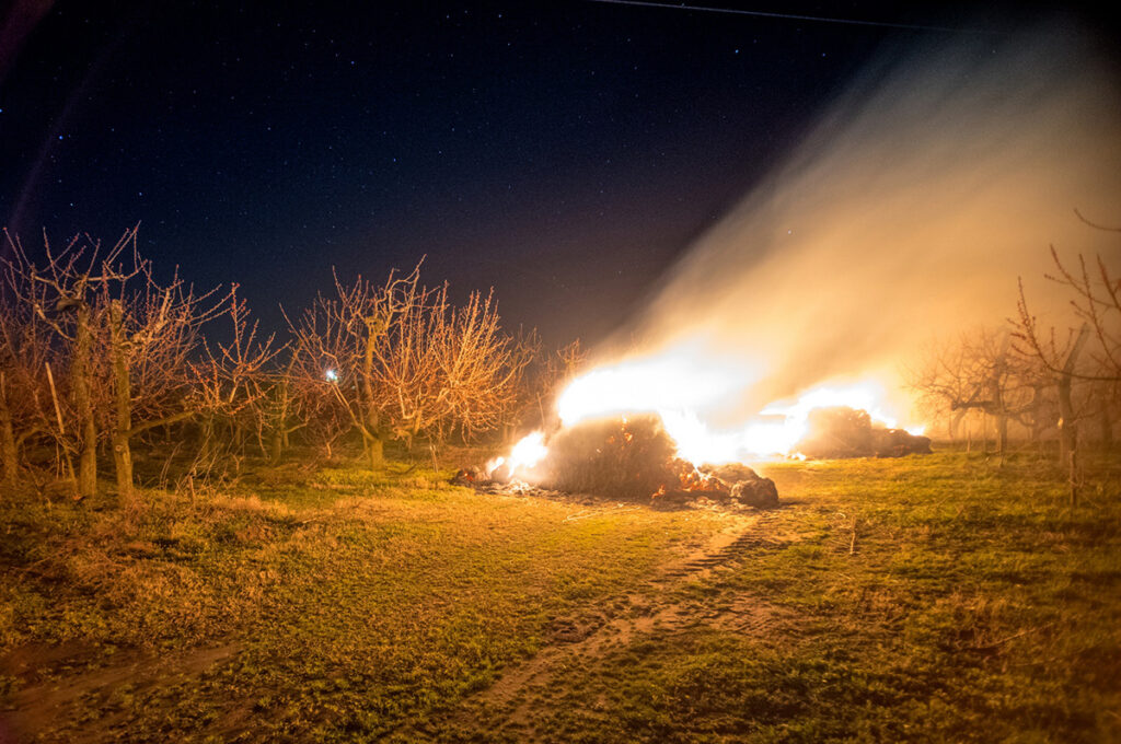 chranime nasu urodu pred mrazom 11