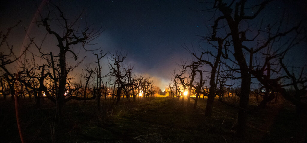 chranime nasu urodu pred mrazom 12