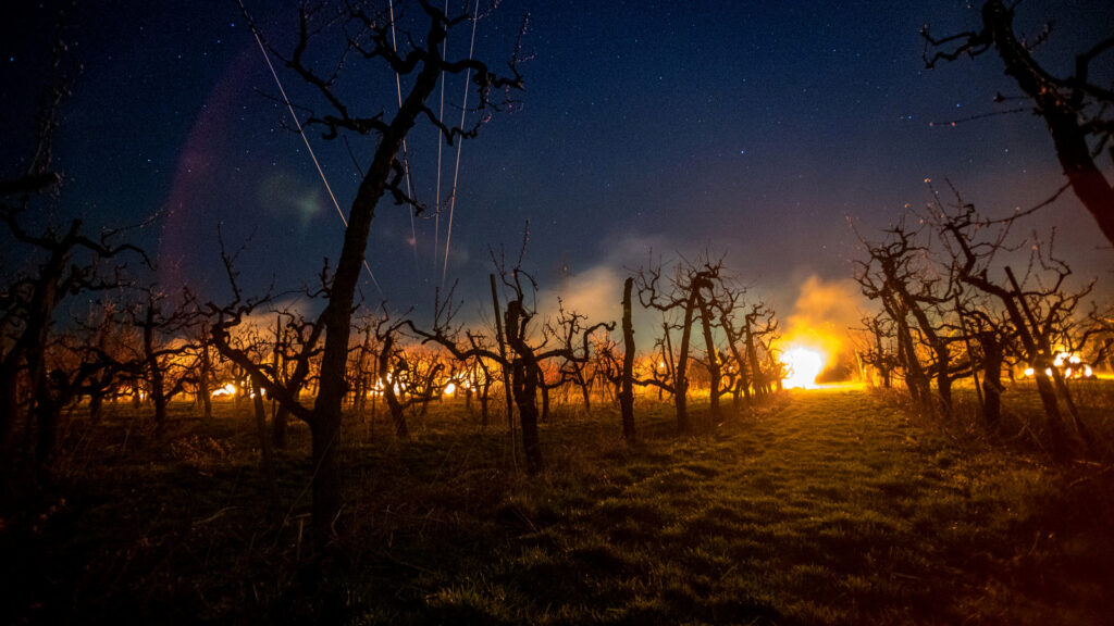 chranime-nasu-urodu-pred-mrazom-featured