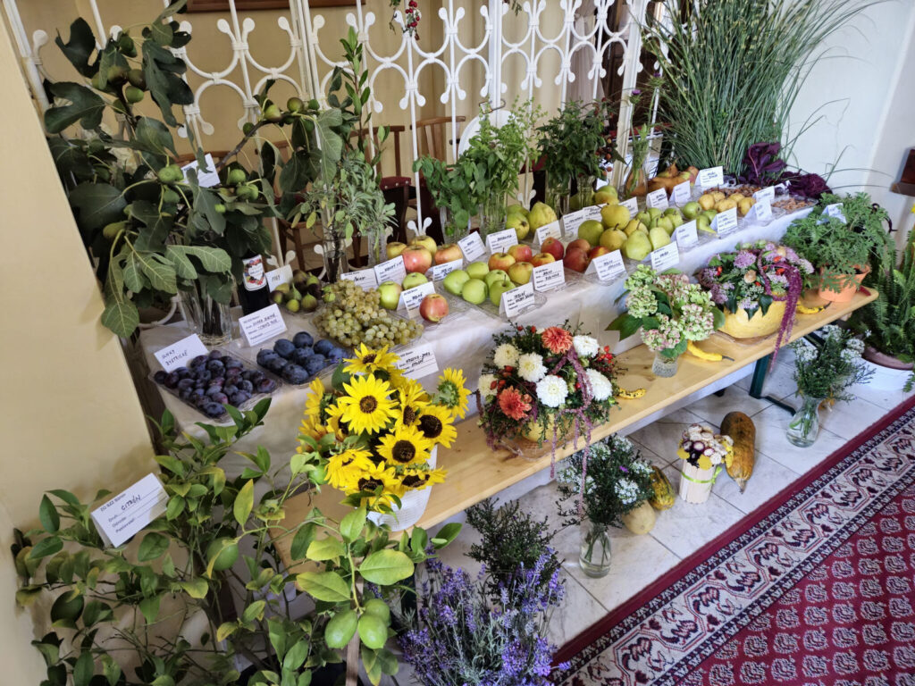 dakovna sv omsa za urodu 27