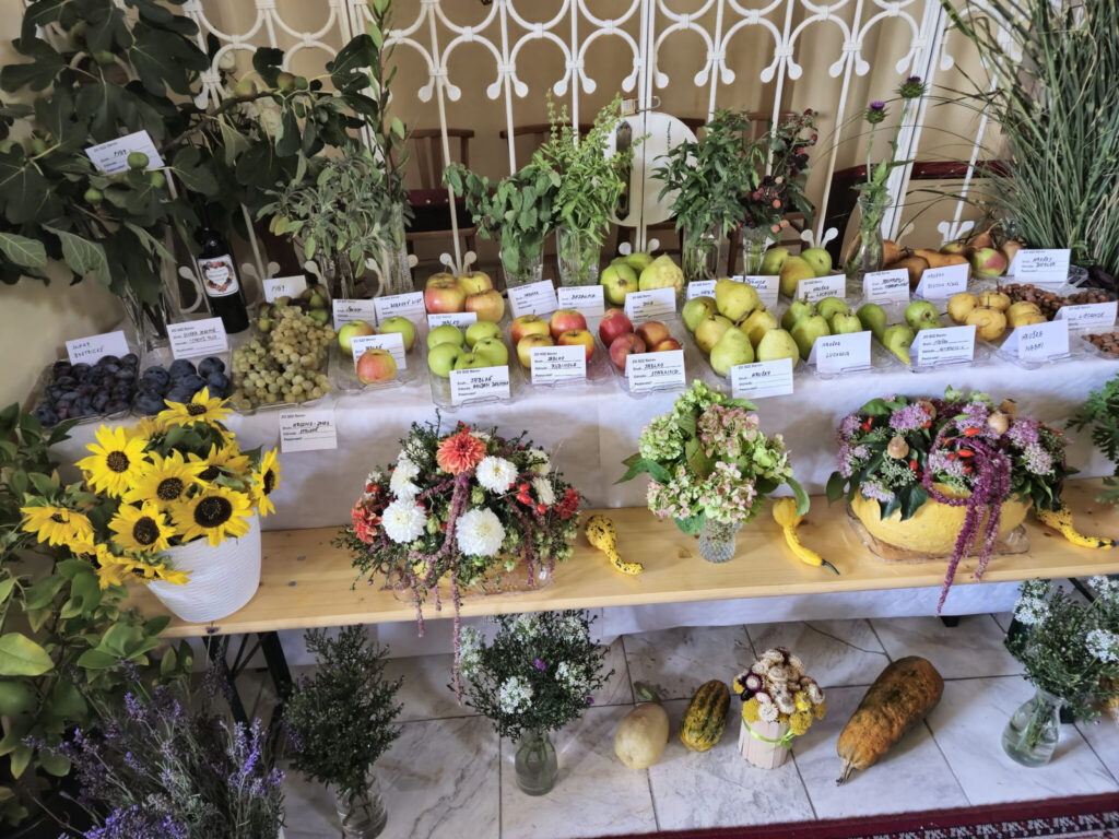 dakovna sv omsa za urodu 28