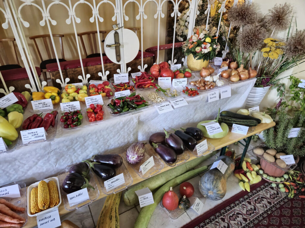 dakovna sv omsa za urodu 30