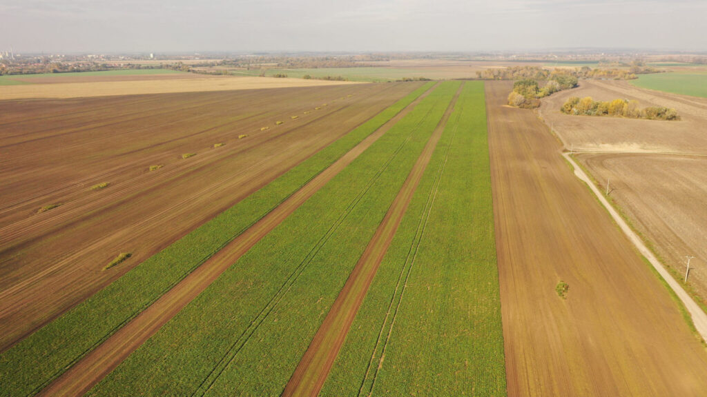 efektivne vyoravanie repy spickovou technologiou 03