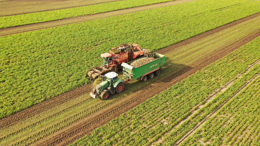 efektivne vyoravanie repy spickovou technologiou 04