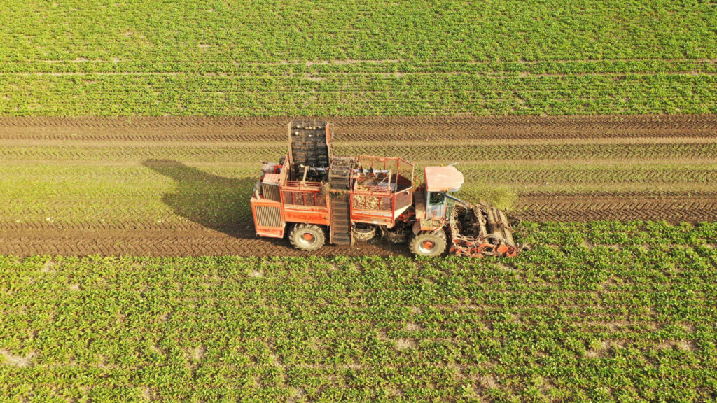 efektivne vyoravanie repy spickovou technologiou 05