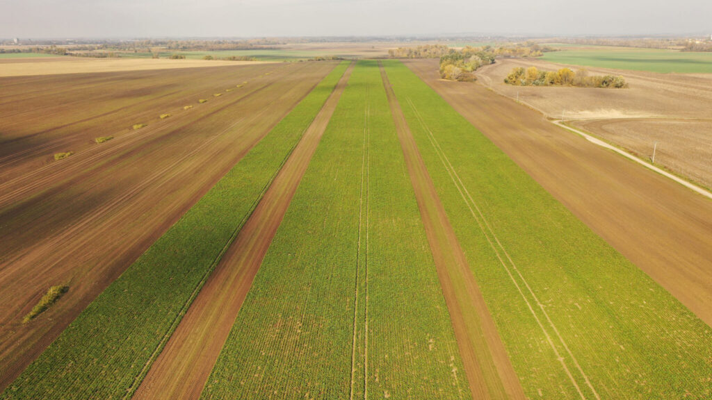 efektivne vyoravanie repy spickovou technologiou 07