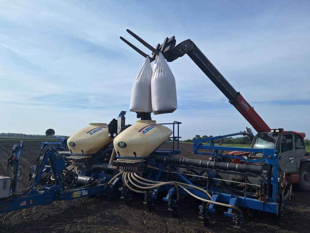 nase polia hostia pokusne hybridy kws 01