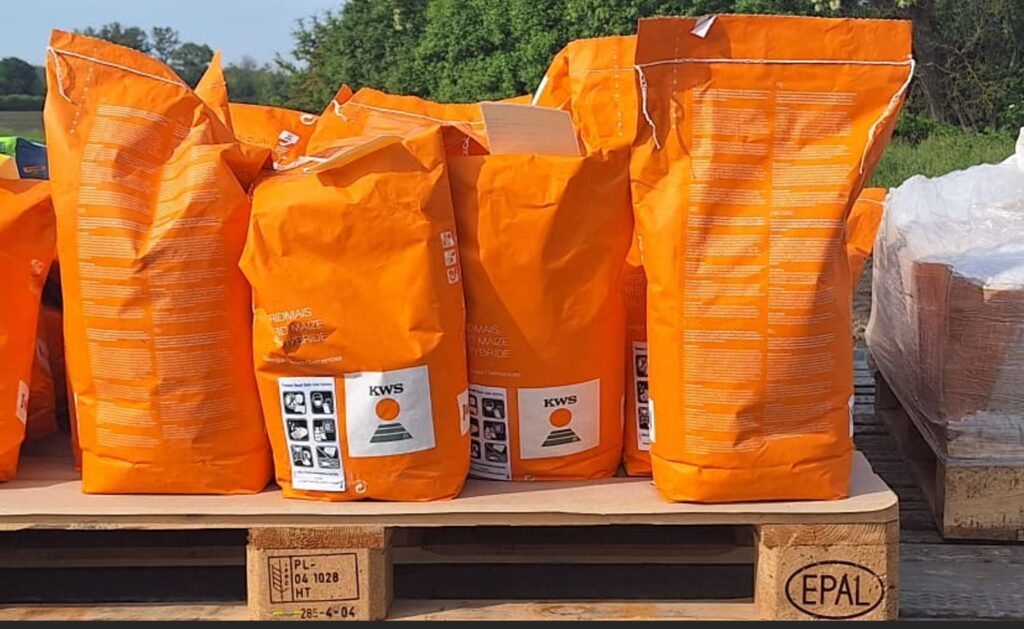 nase polia hostia pokusne hybridy kws 02