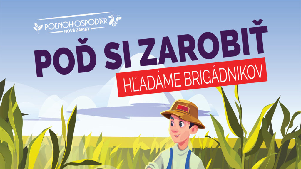 ponuka-prace-chces-si-privyrobit-featured