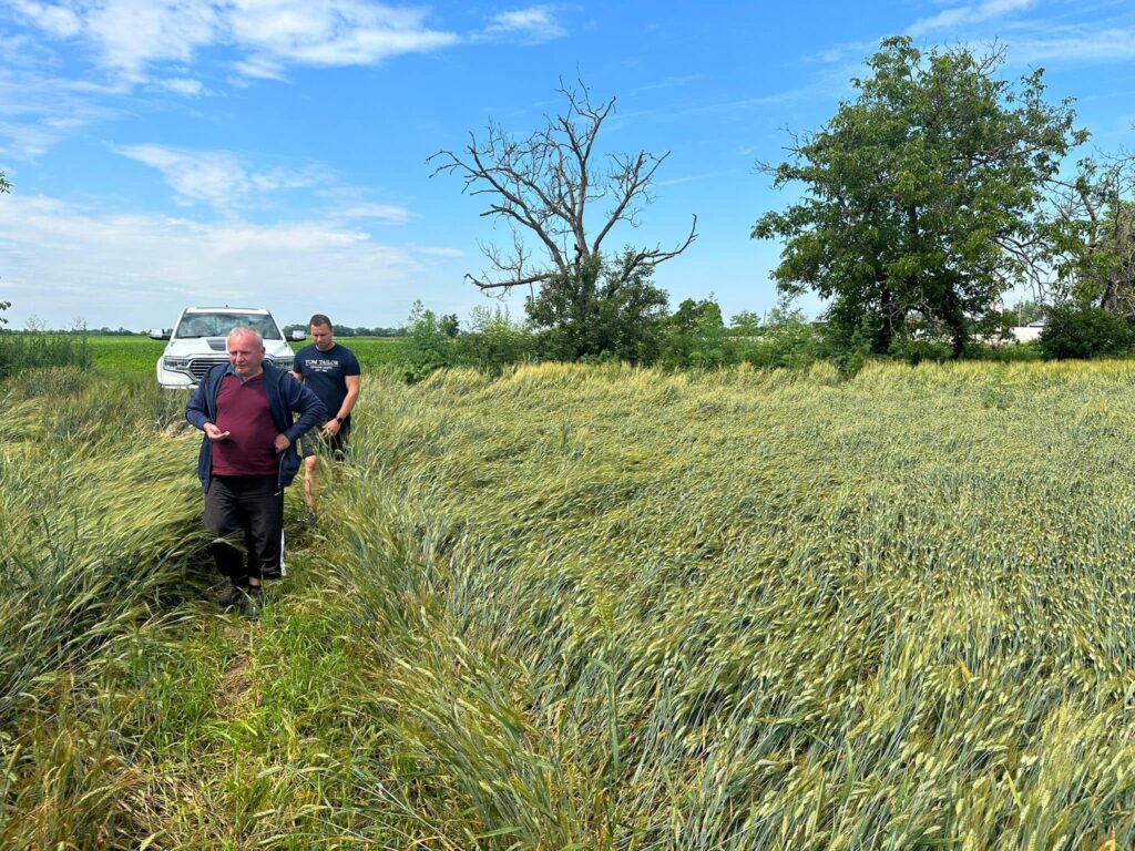 predzatevna prehliadka chotara 03