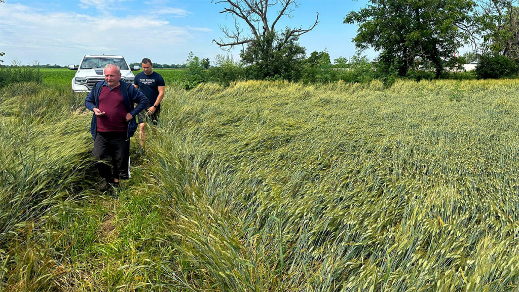 predzatevna-prehliadka-chotara-featured