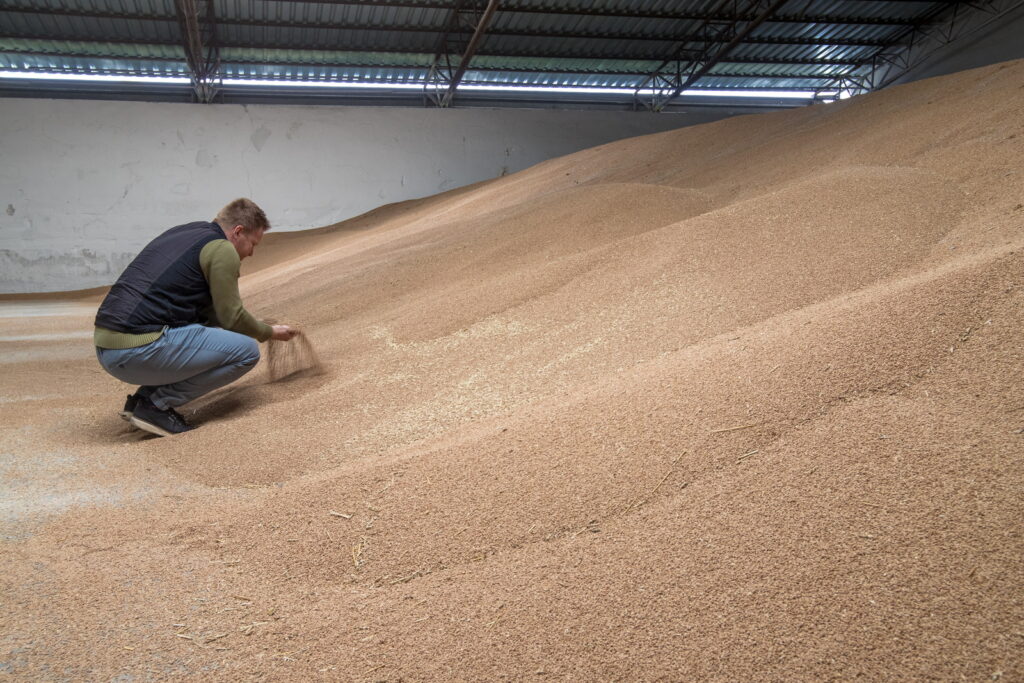 tento rok je iny zatial 02