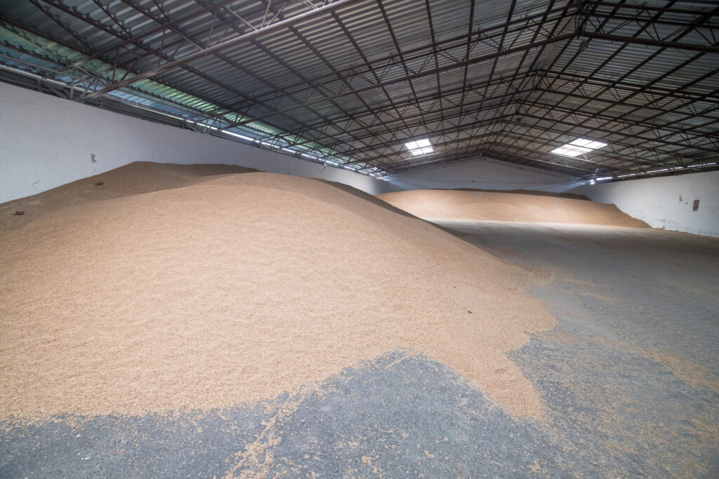 tento rok je iny zatial 03