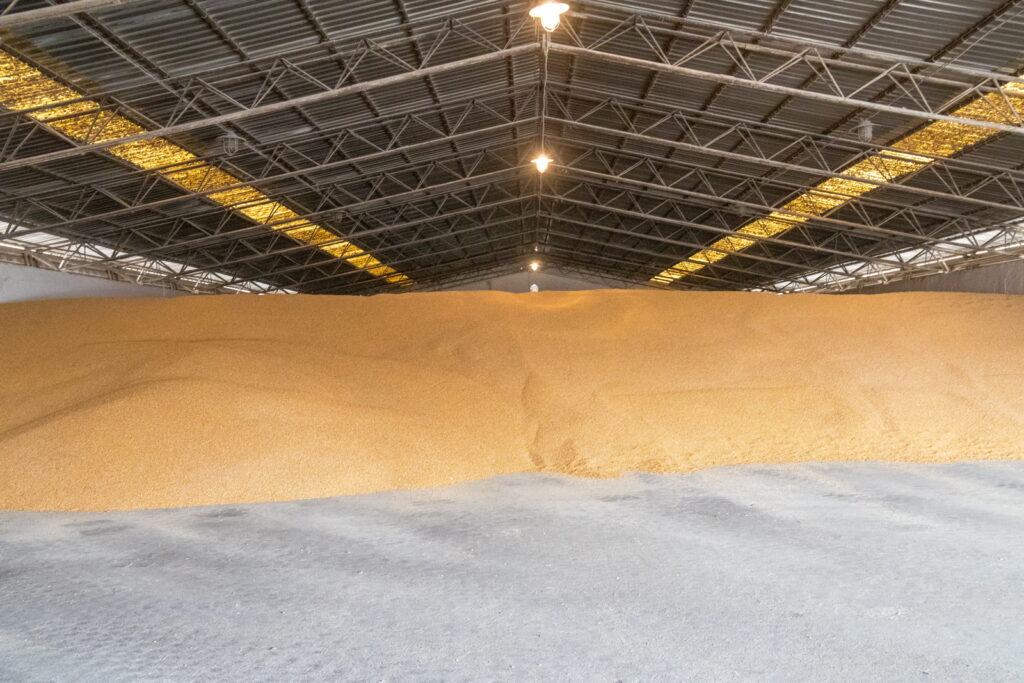 tento rok je iny zatial 04