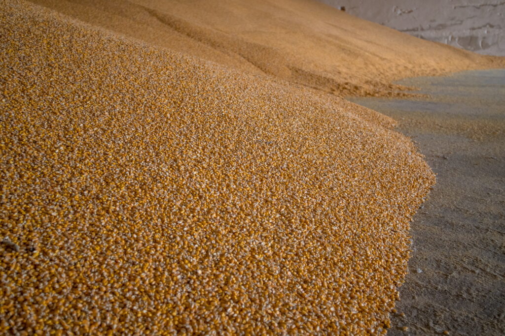 tento rok je iny zatial 05