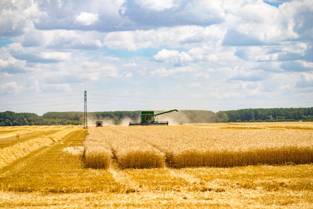 zatva bola uspesne ukoncena 04