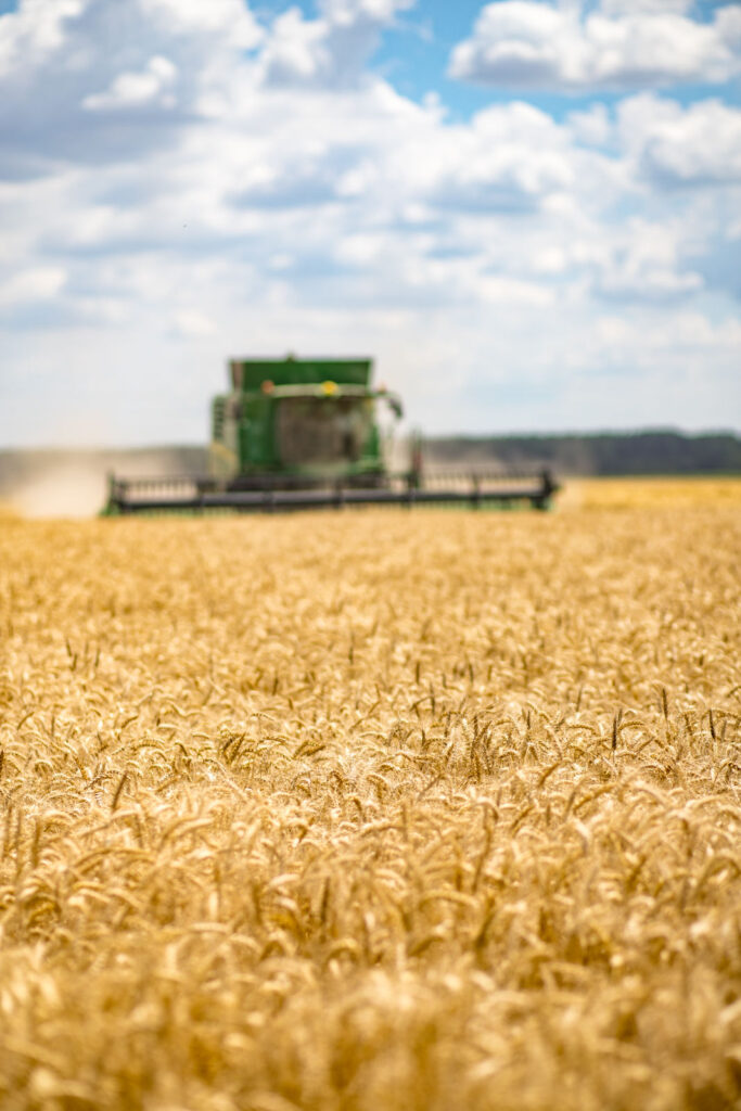 zatva bola uspesne ukoncena 07