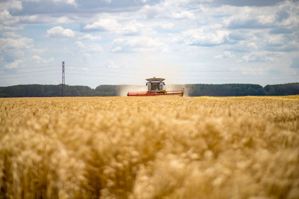 zatva bola uspesne ukoncena 13