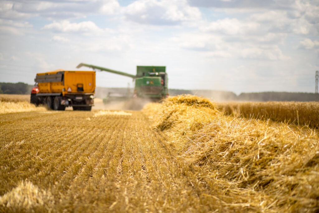 zatva bola uspesne ukoncena 17