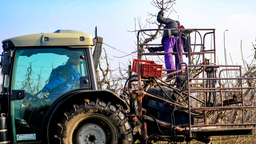 zimny-rez-v-sade-featured