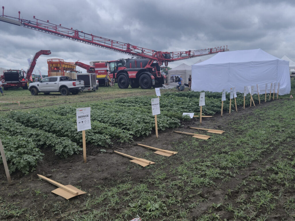 zucastnili sme sa 14 rocnika celoslovenskych dni pola v seliciach 03