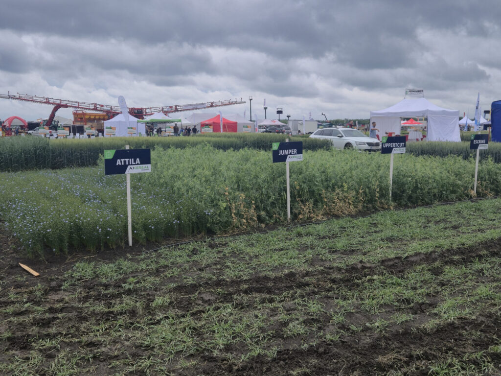 zucastnili sme sa 14 rocnika celoslovenskych dni pola v seliciach 04