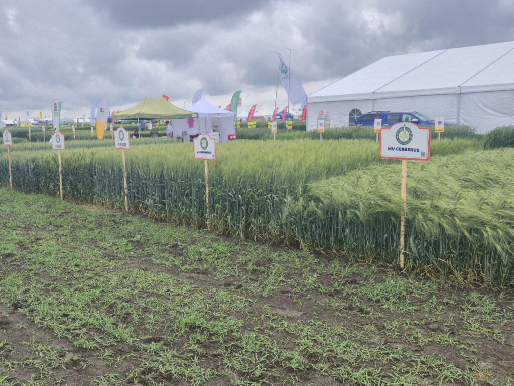 zucastnili sme sa 14 rocnika celoslovenskych dni pola v seliciach 06