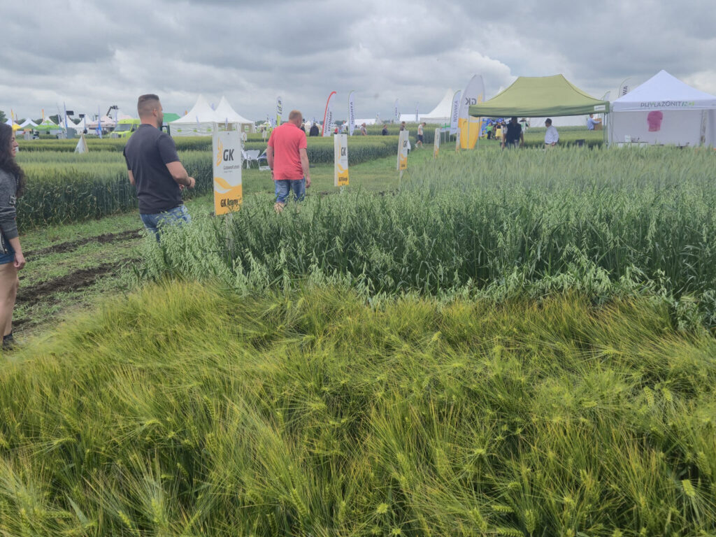 zucastnili sme sa 14 rocnika celoslovenskych dni pola v seliciach 08