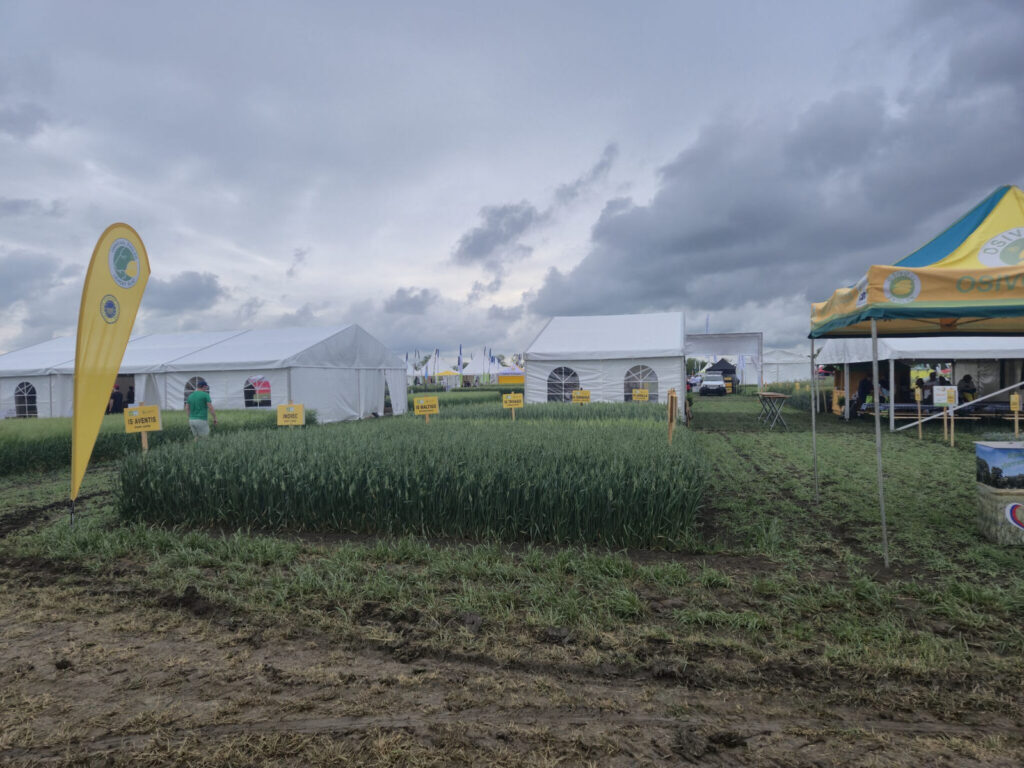 zucastnili sme sa 14 rocnika celoslovenskych dni pola v seliciach 21